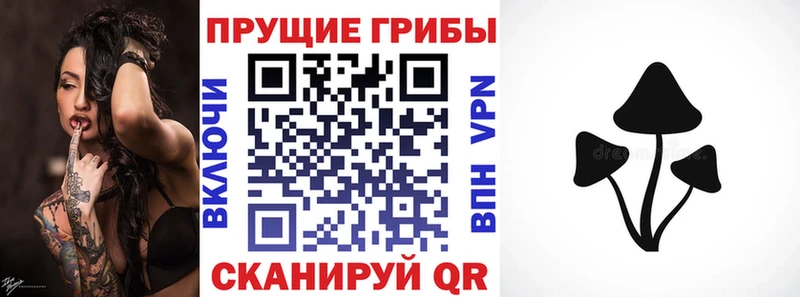 закладки  Георгиевск  Псилоцибиновые грибы GOLDEN TEACHER 