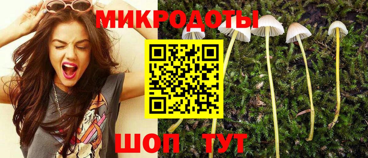Галлюциногенные грибы Cubensis Георгиевск