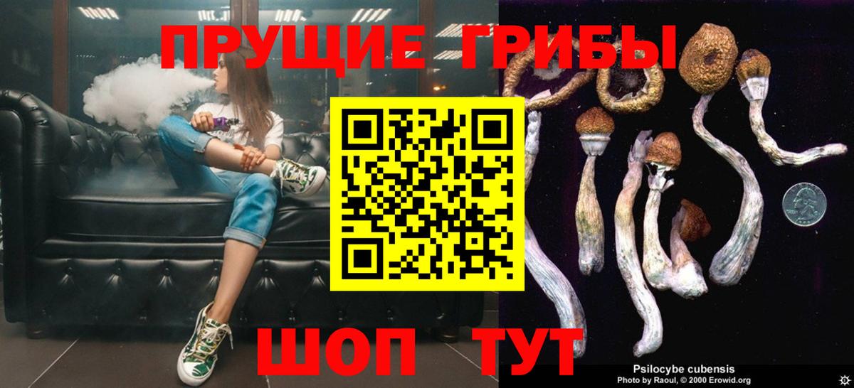 Георгиевск  Галлюциногенные грибы Magic Shrooms  Вход с VPN 